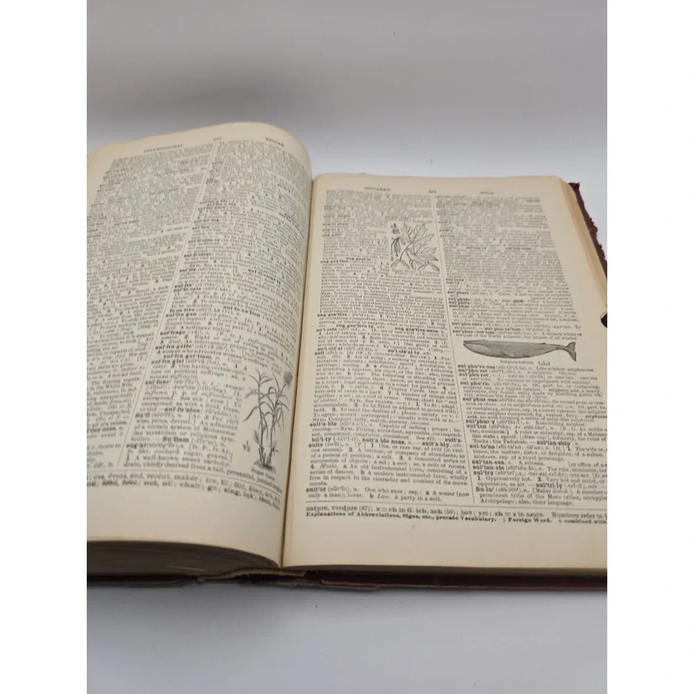 Webster's Secondary School Dictionary 1925 Hardcover OK CONDITION